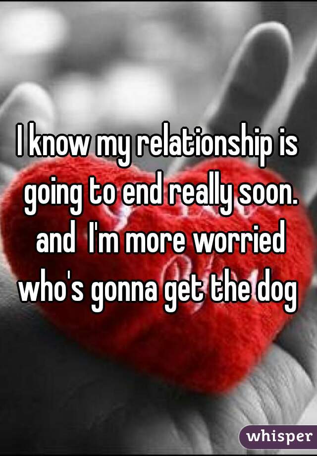 I know my relationship is going to end really soon. and  I'm more worried who's gonna get the dog 
