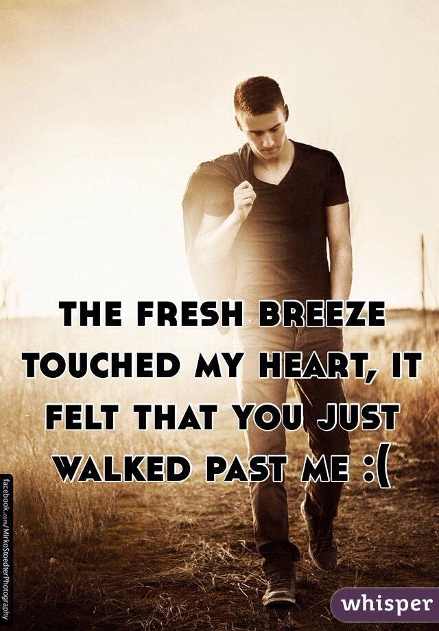 the fresh breeze touched my heart, it felt that you just walked past me :(
