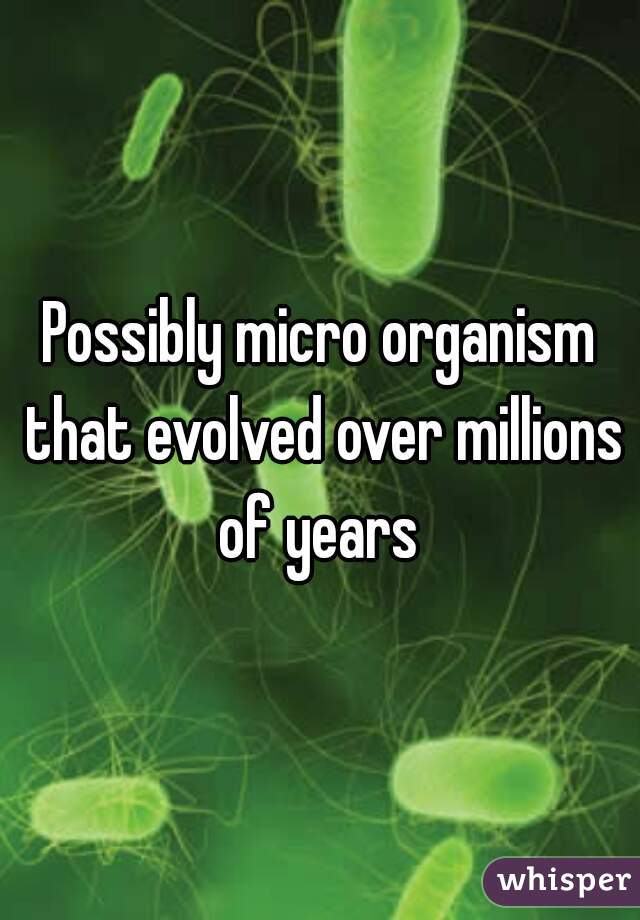 Possibly micro organism that evolved over millions of years 