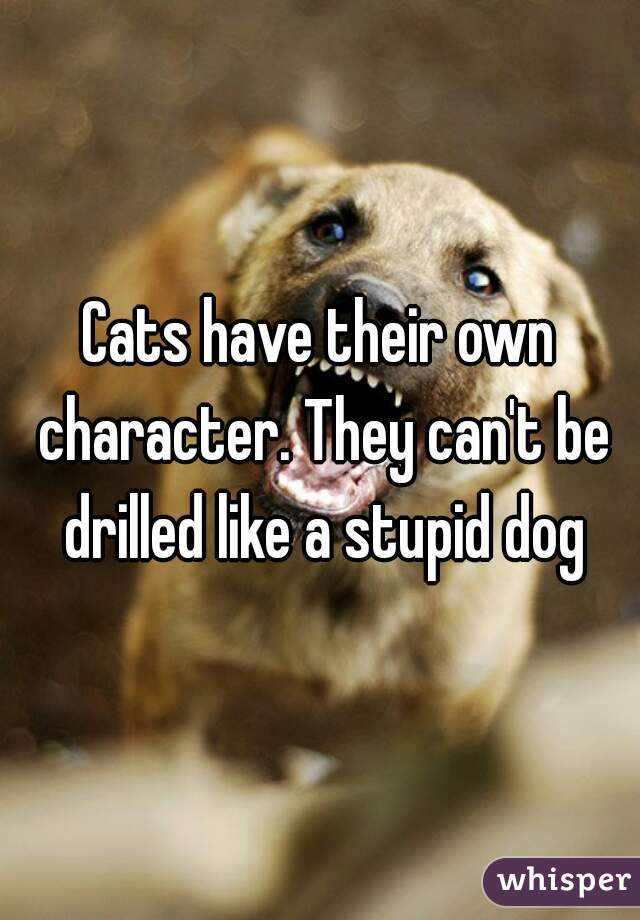 Cats have their own character. They can't be drilled like a stupid dog