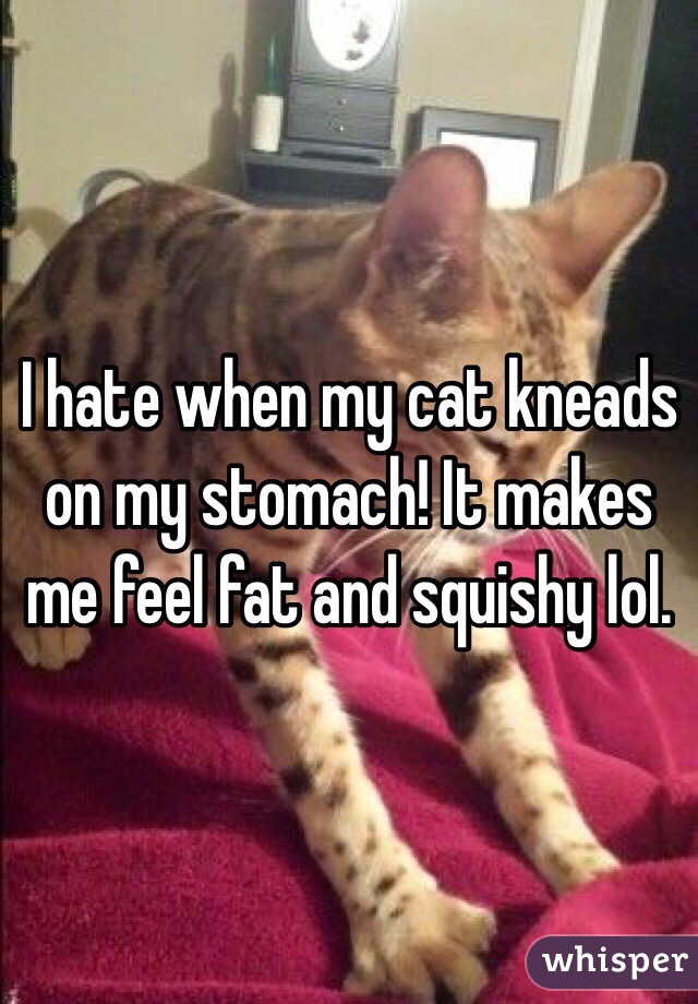 I hate when my cat kneads on my stomach! It makes me feel fat and squishy lol.