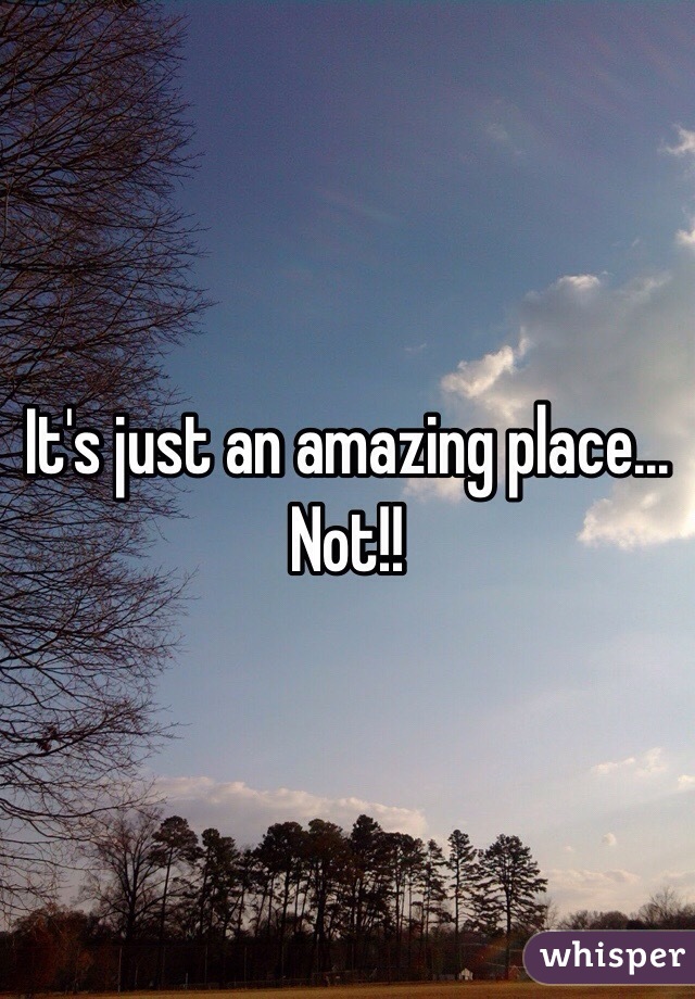 It's just an amazing place... Not!! 