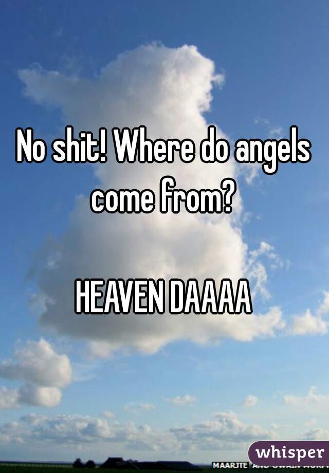 No shit! Where do angels come from? 

HEAVEN DAAAA