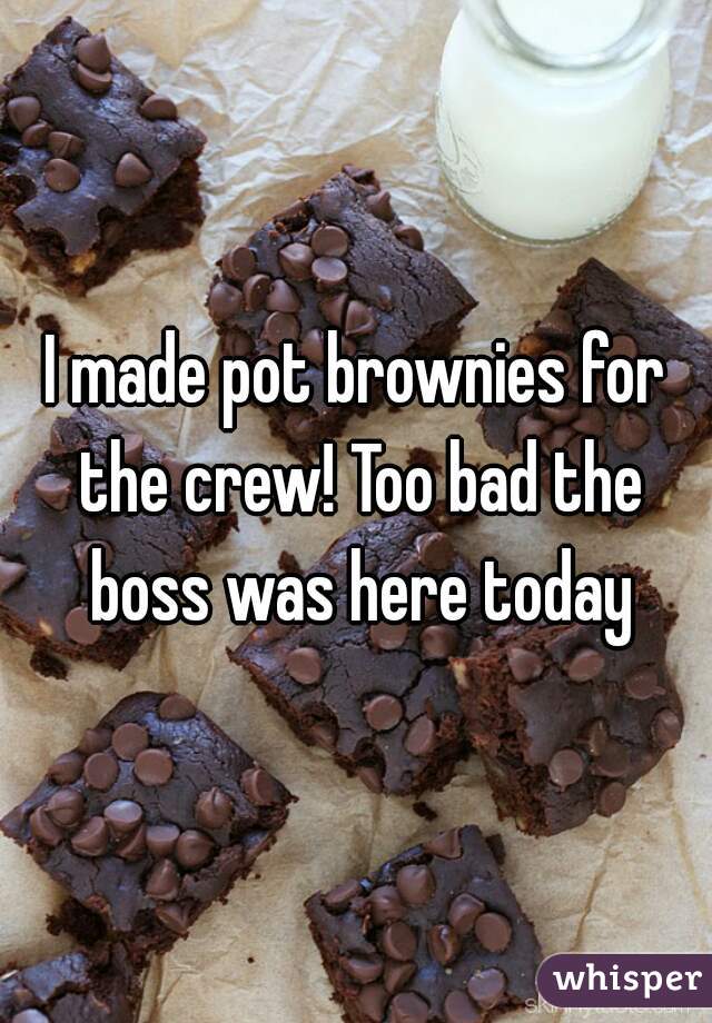 I made pot brownies for the crew! Too bad the boss was here today