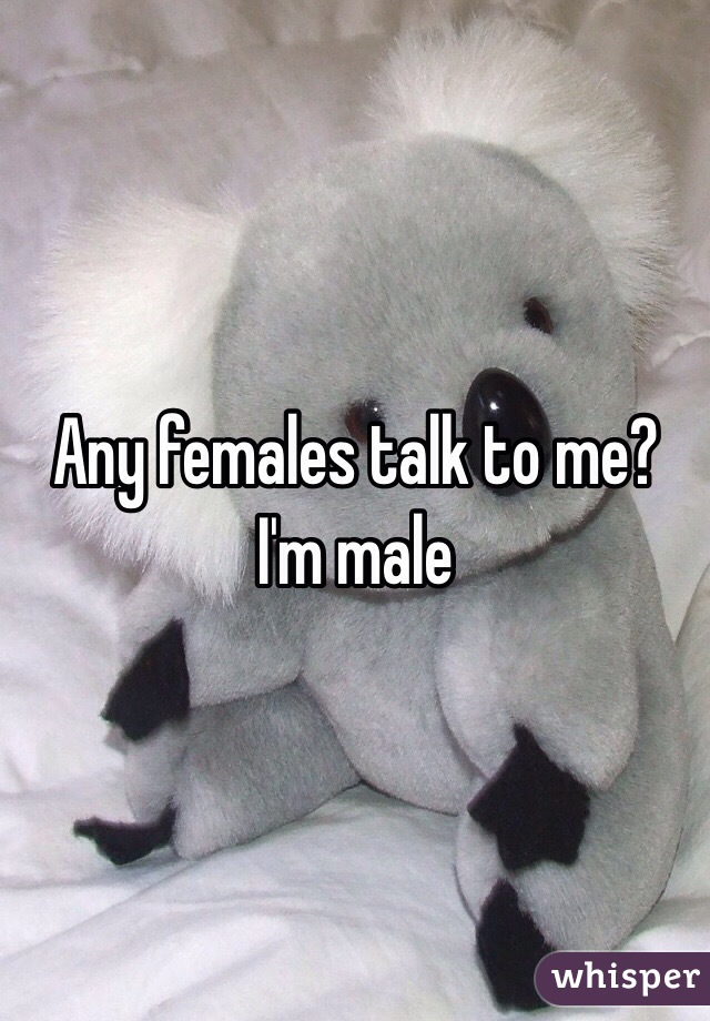 Any females talk to me? I'm male