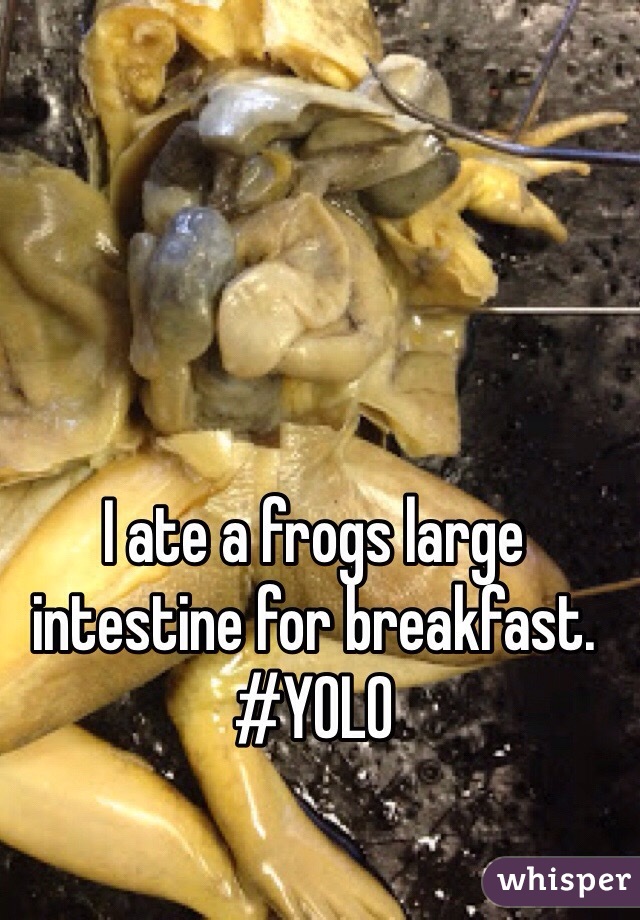 I ate a frogs large intestine for breakfast. 
#YOLO