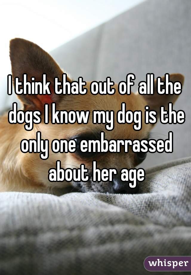 I think that out of all the dogs I know my dog is the only one embarrassed about her age