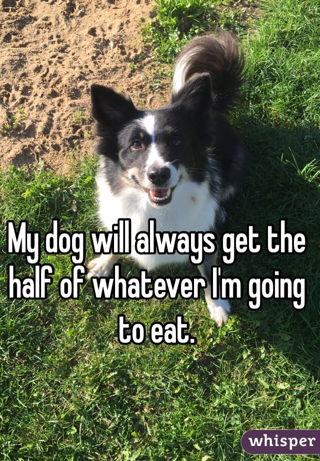 My dog will always get the half of whatever I'm going to eat.
