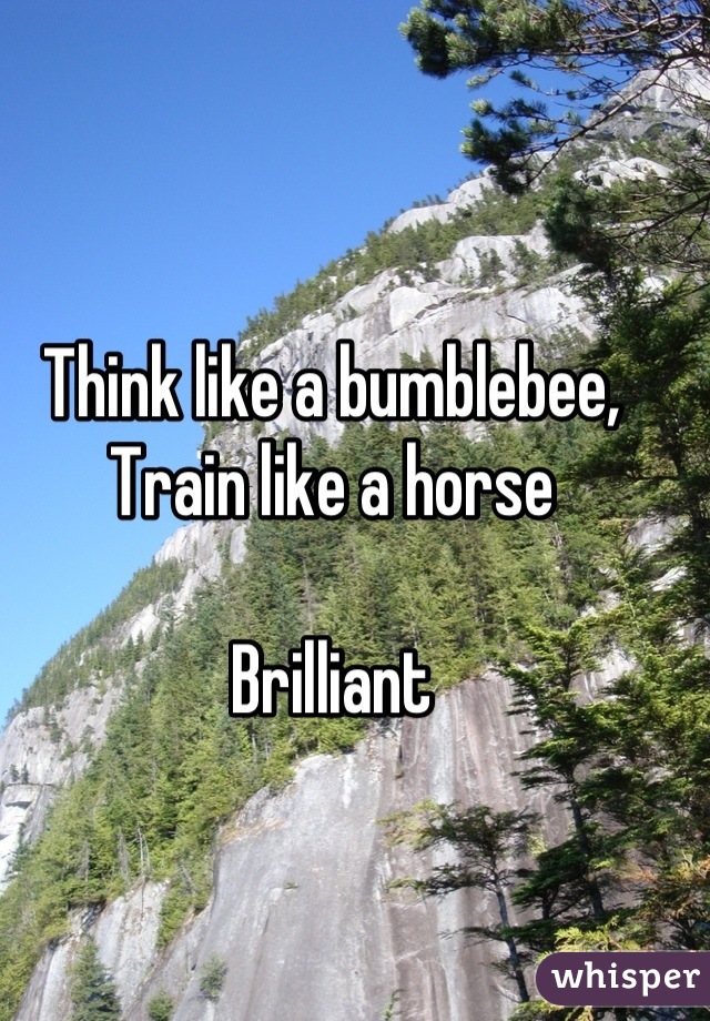 Think like a bumblebee, 
Train like a horse

Brilliant