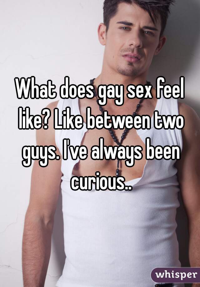 What does gay sex feel like? Like between two guys. I've always been curious..