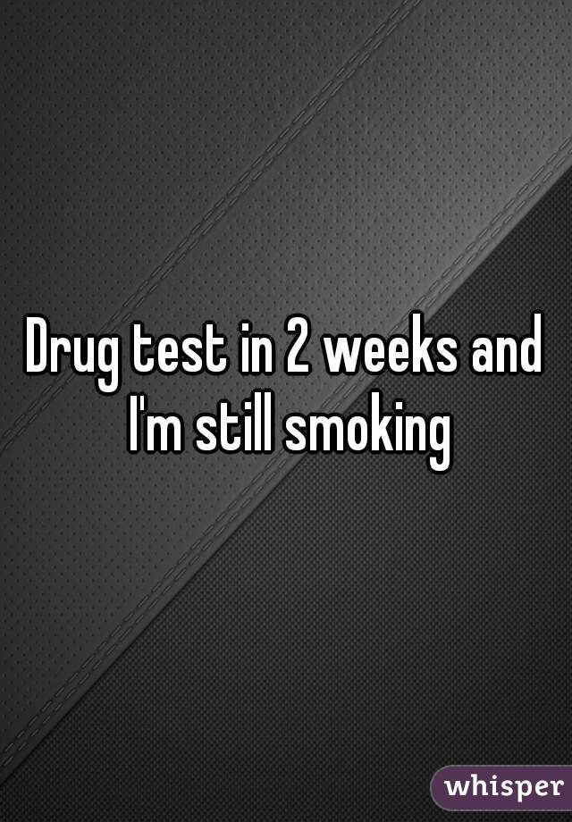 Drug test in 2 weeks and I'm still smoking
