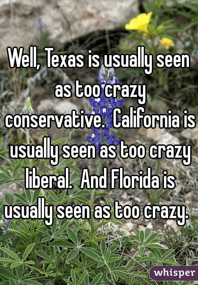 Well, Texas is usually seen as too crazy conservative.  California is usually seen as too crazy liberal.  And Florida is usually seen as too crazy.  