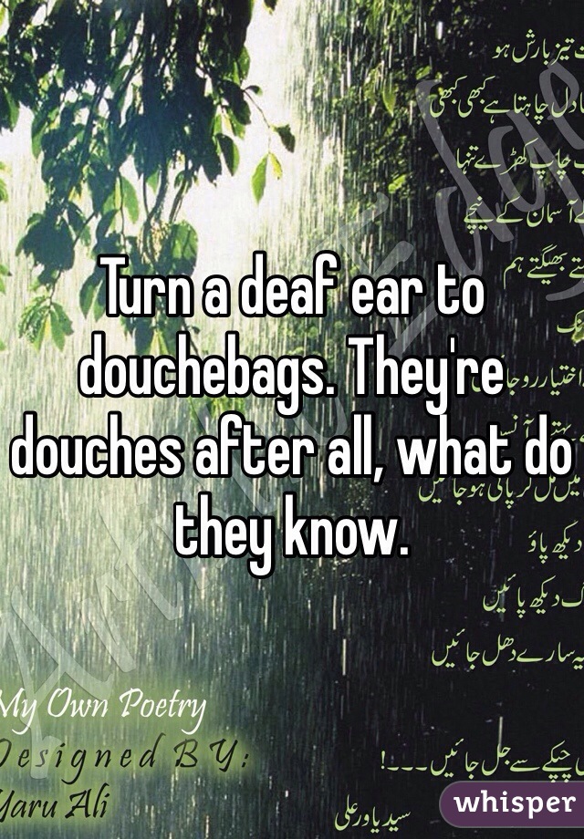 Turn a deaf ear to douchebags. They're douches after all, what do they know. 