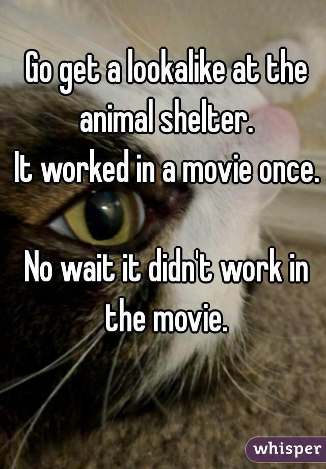 Go get a lookalike at the animal shelter. 
It worked in a movie once.

No wait it didn't work in the movie. 