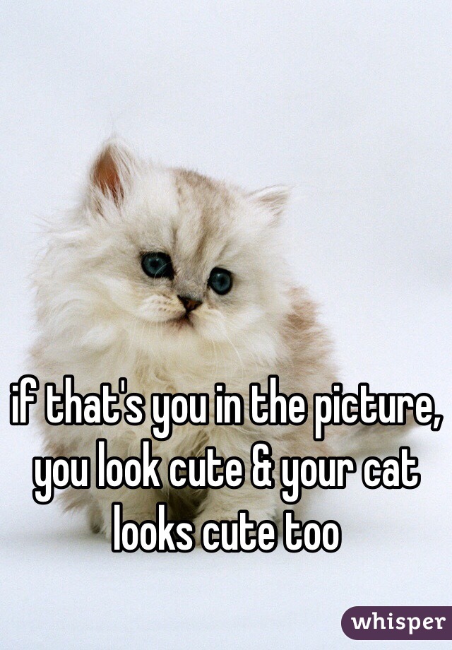 if that's you in the picture, you look cute & your cat looks cute too 