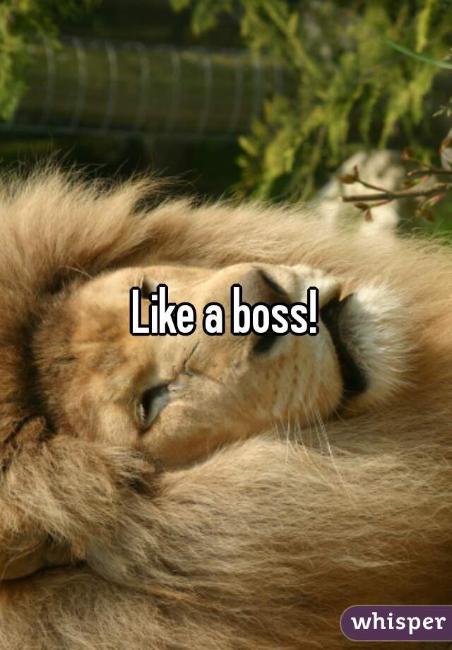 Like a boss!
