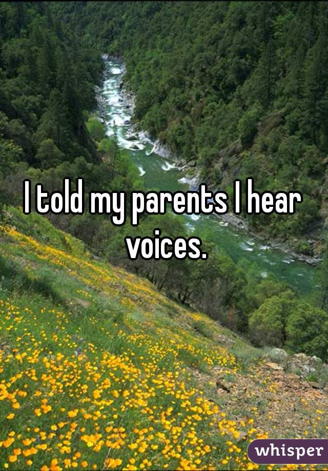 I told my parents I hear voices.