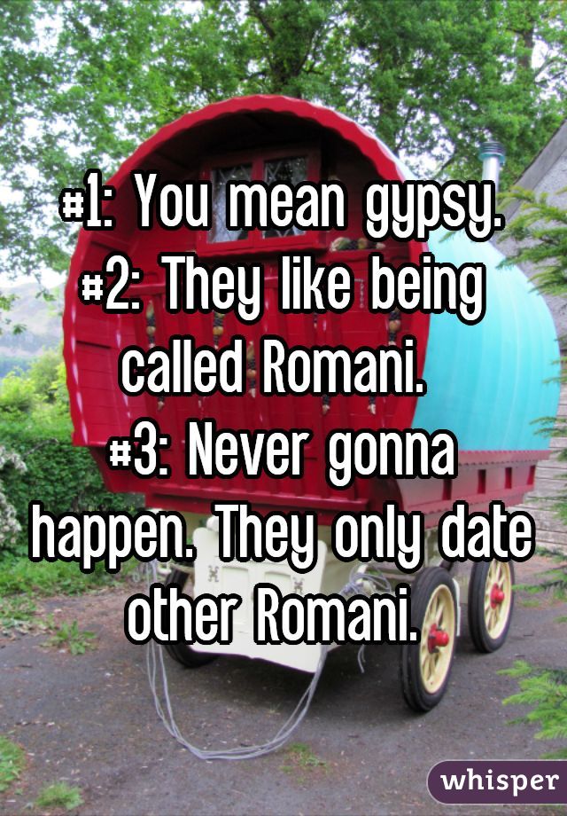 #1: You mean gypsy.
#2: They like being called Romani. 
#3: Never gonna happen. They only date other Romani. 