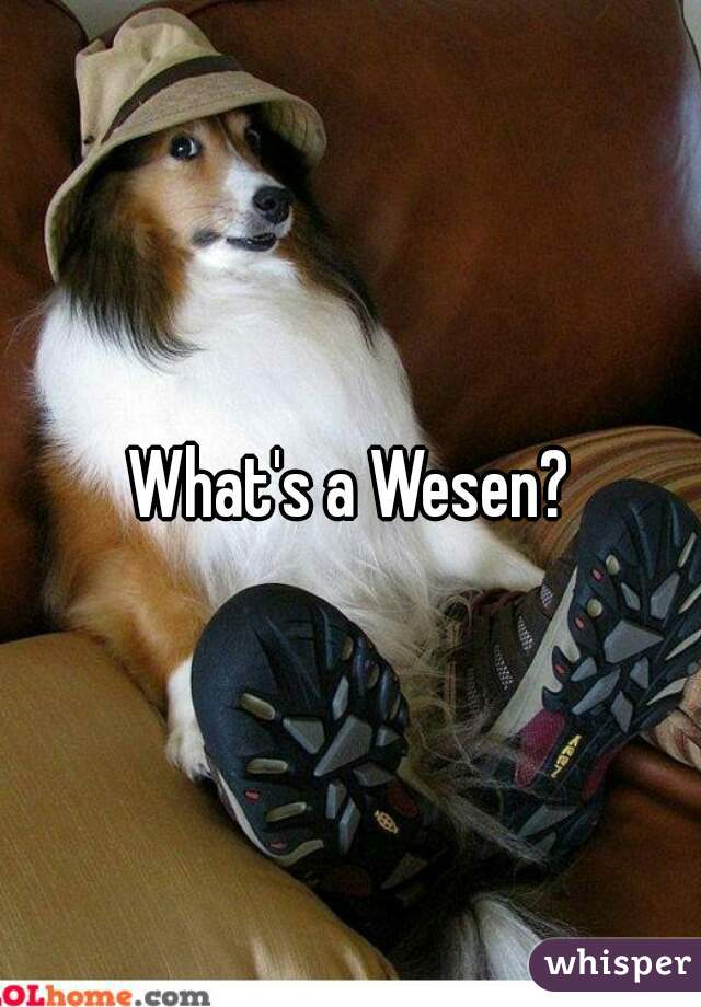What's a Wesen?