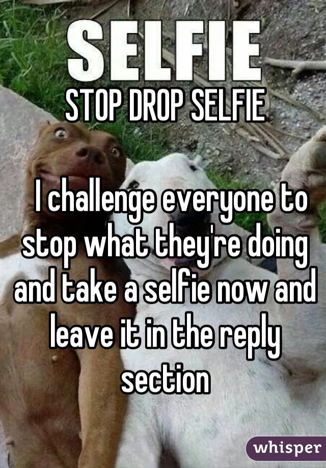 STOP DROP SELFIE

  I challenge everyone to stop what they're doing and take a selfie now and leave it in the reply section