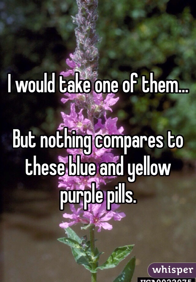 I would take one of them... 

But nothing compares to these blue and yellow purple pills.