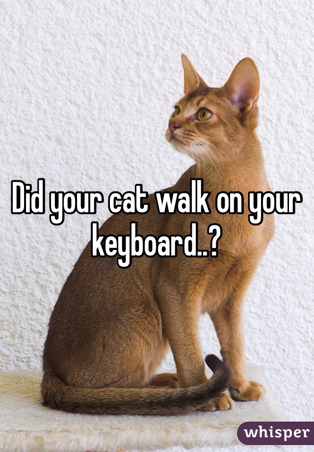 Did your cat walk on your keyboard..?