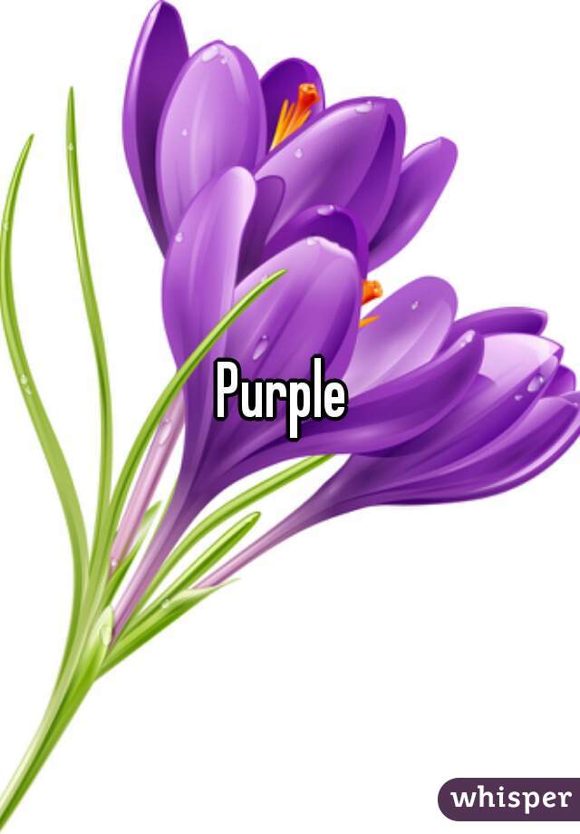 Purple 