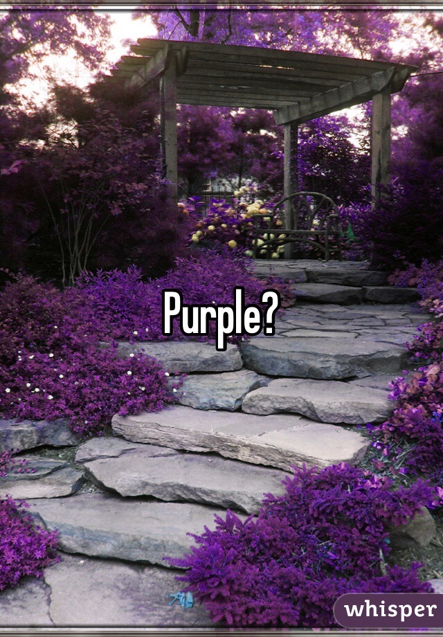 Purple?