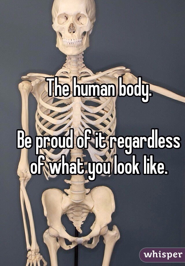 The human body. 

Be proud of it regardless of what you look like. 