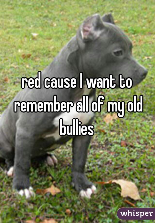 red cause I want to remember all of my old bullies 