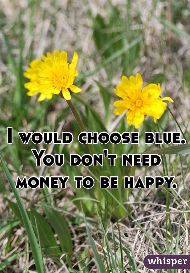 I would choose blue. You don't need money to be happy. 