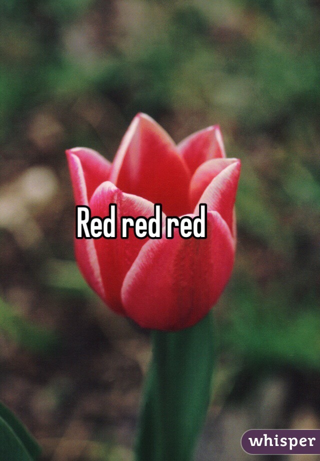 Red red red 