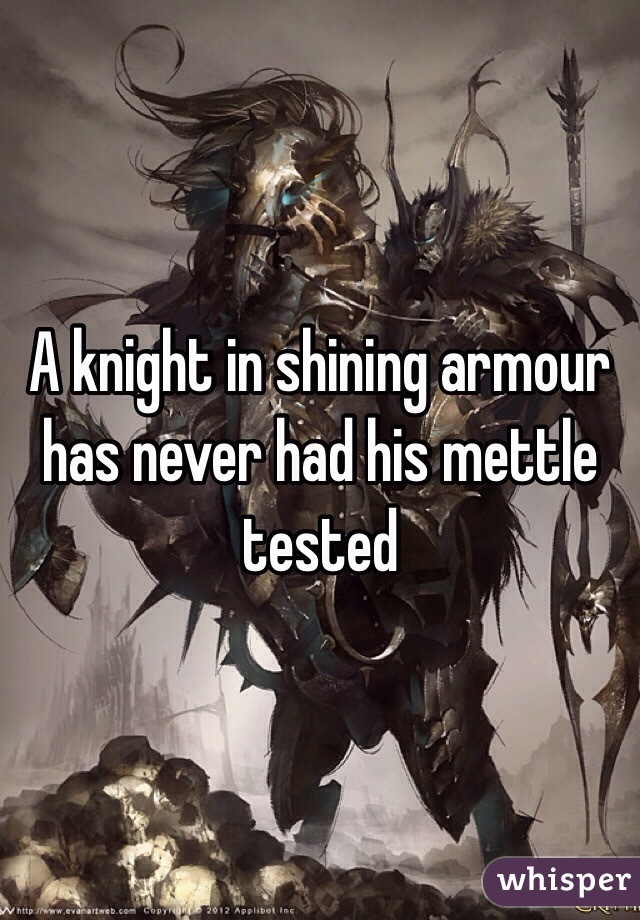 A knight in shining armour has never had his mettle tested