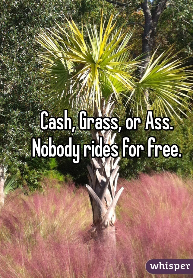 Cash, Grass, or Ass. Nobody rides for free. 