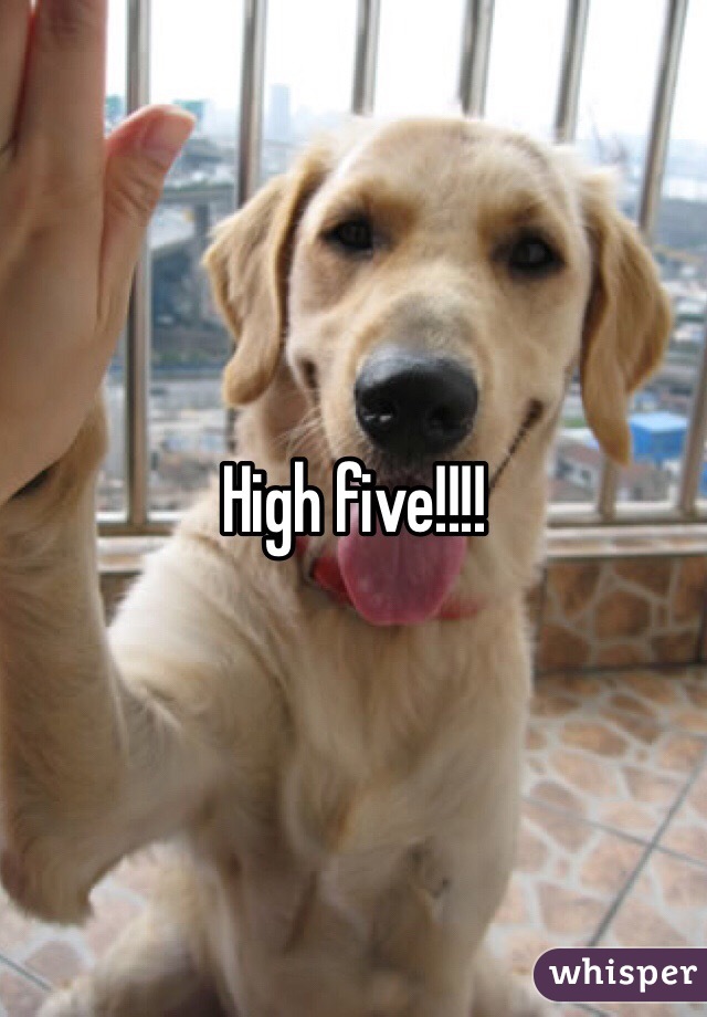 High five!!!!