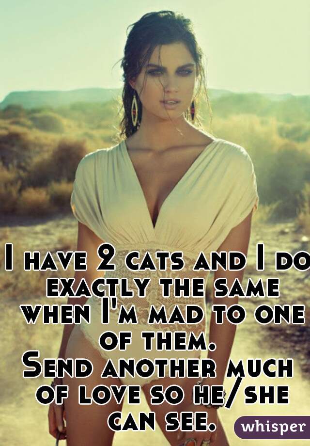 I have 2 cats and I do exactly the same when I'm mad to one of them. 
Send another much of love so he/she can see.