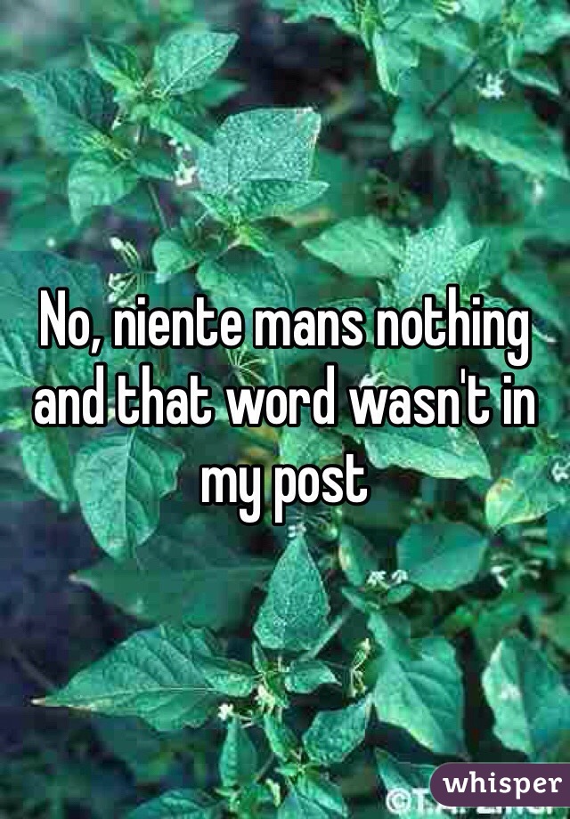 No, niente mans nothing and that word wasn't in my post