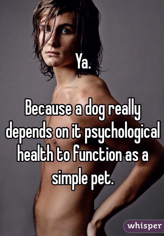 Ya. 

Because a dog really depends on it psychological health to function as a simple pet.