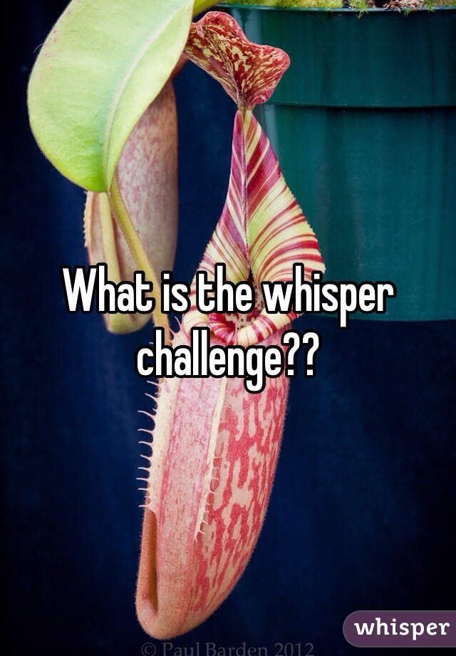 What is the whisper challenge??