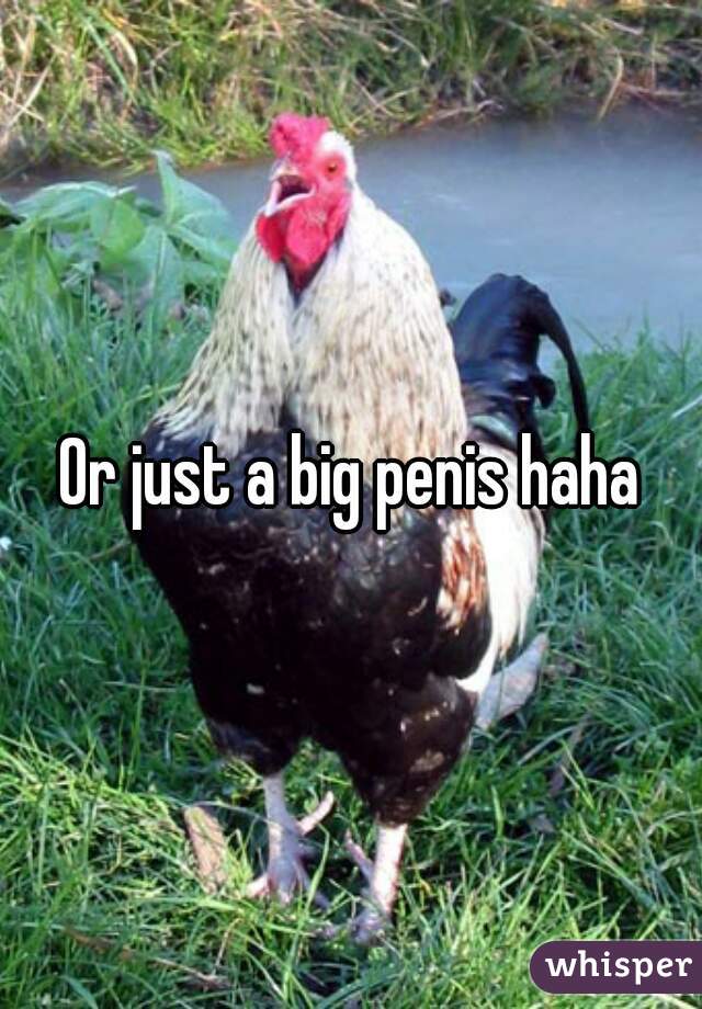 Or just a big penis haha
