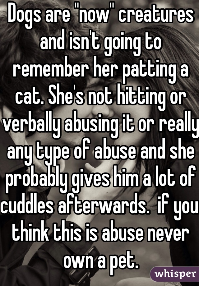 Dogs are "now" creatures and isn't going to remember her patting a cat. She's not hitting or verbally abusing it or really any type of abuse and she probably gives him a lot of cuddles afterwards.  if you think this is abuse never own a pet.