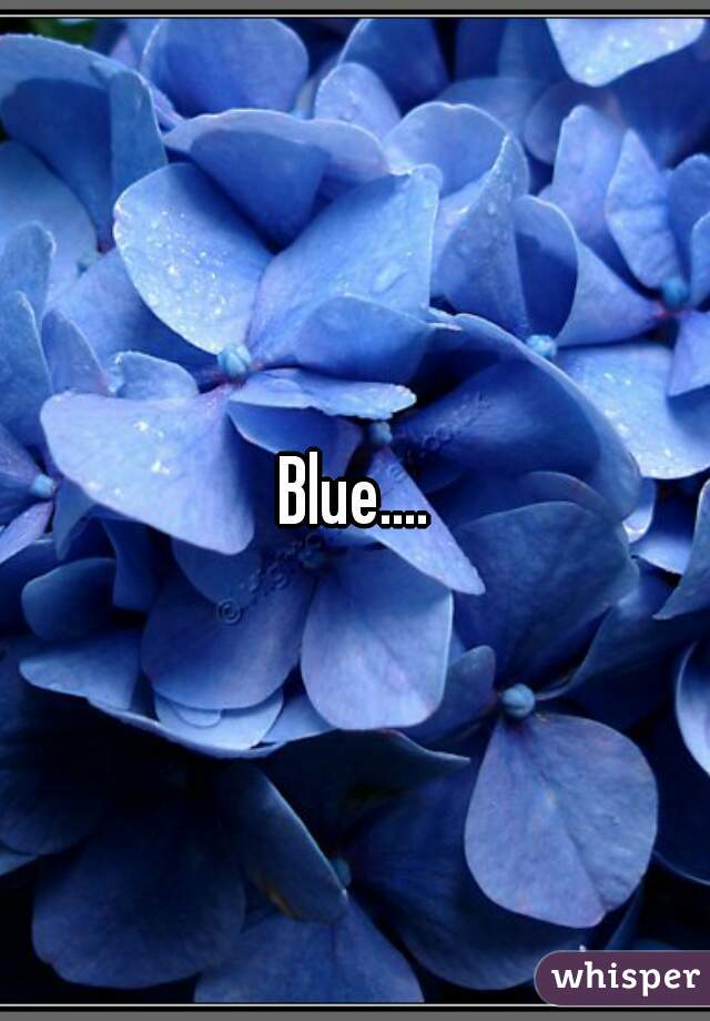 Blue....