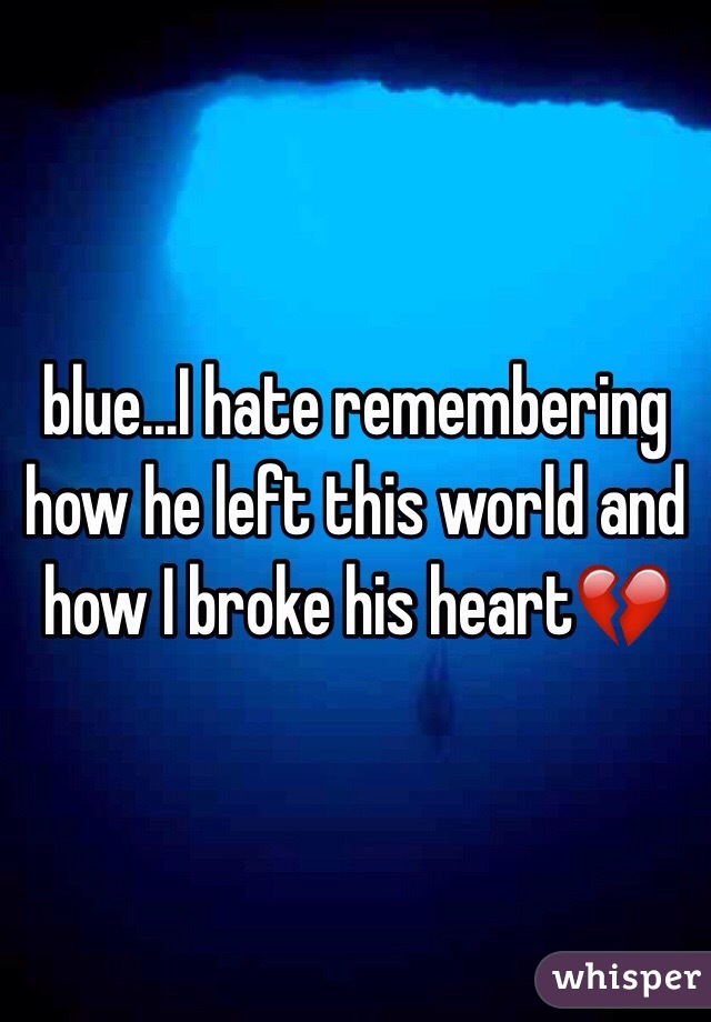 blue...I hate remembering how he left this world and how I broke his heart💔