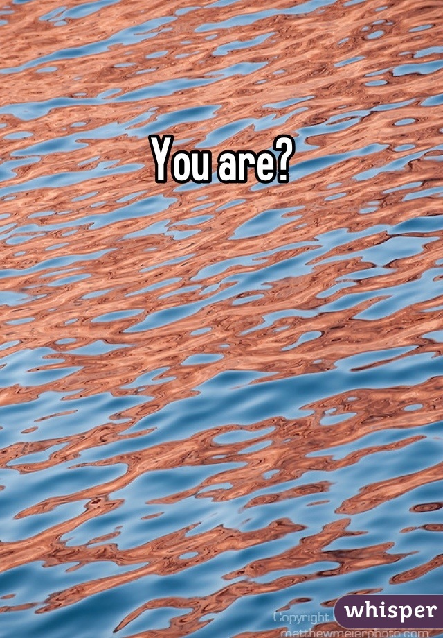 You are?