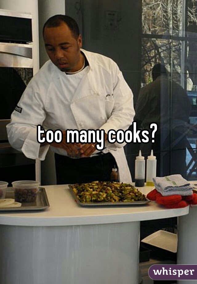 too many cooks?