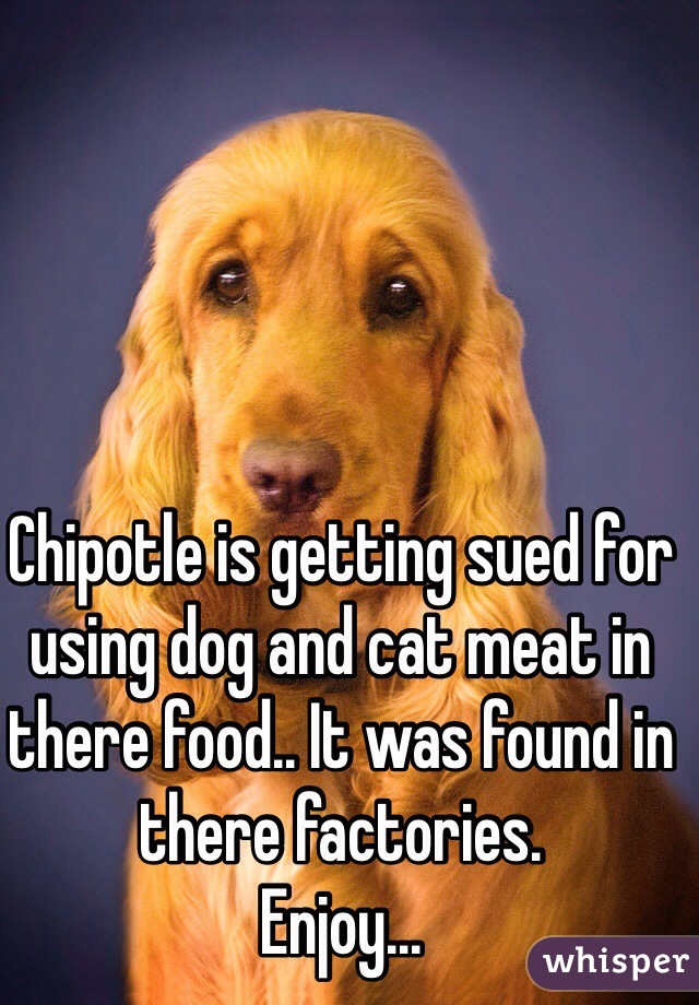 Chipotle is getting sued for using dog and cat meat in there food.. It was found in there factories. 
Enjoy...