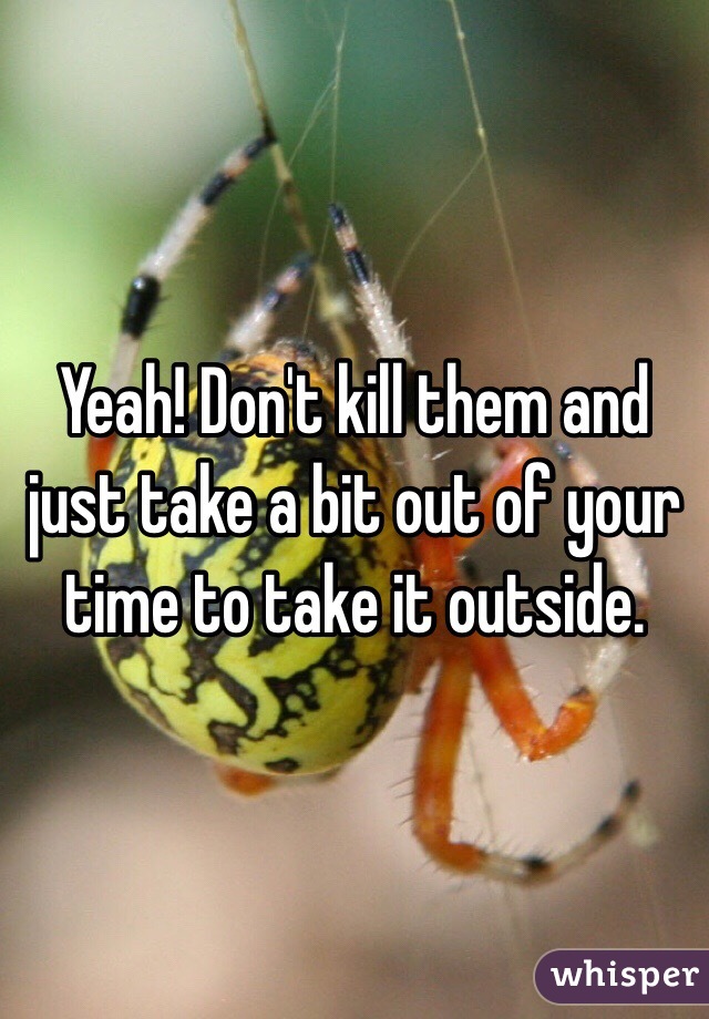 Yeah! Don't kill them and just take a bit out of your time to take it outside. 