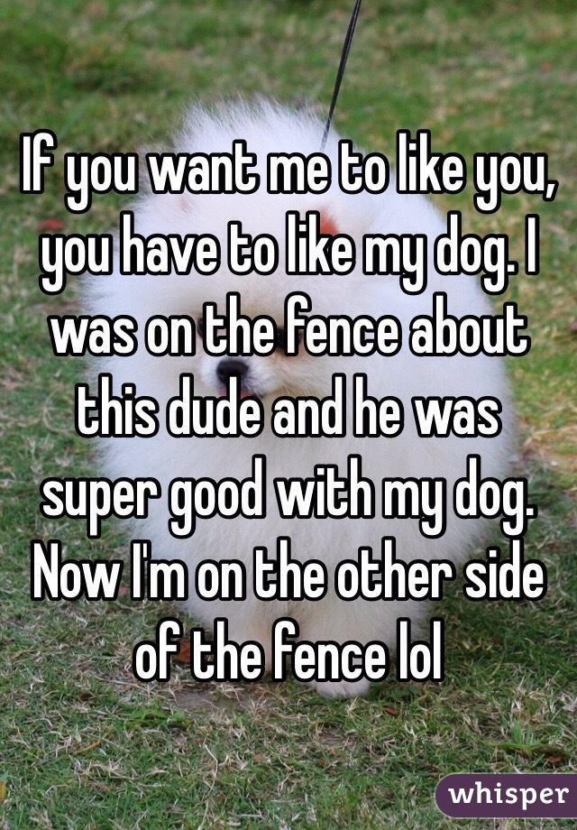 If you want me to like you, you have to like my dog. I was on the fence about this dude and he was super good with my dog. Now I'm on the other side of the fence lol