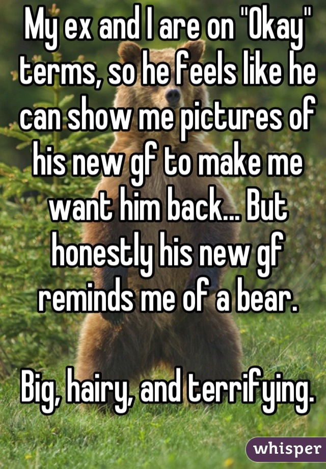 My ex and I are on "Okay" terms, so he feels like he can show me pictures of his new gf to make me want him back... But honestly his new gf reminds me of a bear.

Big, hairy, and terrifying.