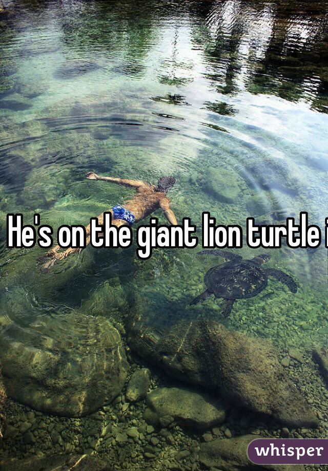 He's on the giant lion turtle in your picture.